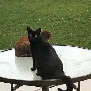 Meet your Posher, Mary